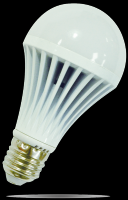 Bombilla LED 12W